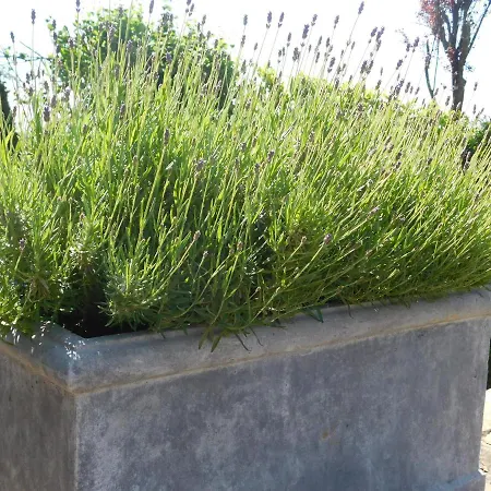 L'aubier فندق مبيت وإفطار