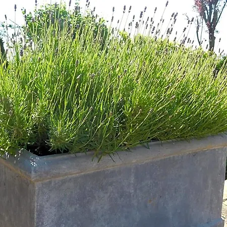 فندق مبيت وإفطار L'aubier Tenneville