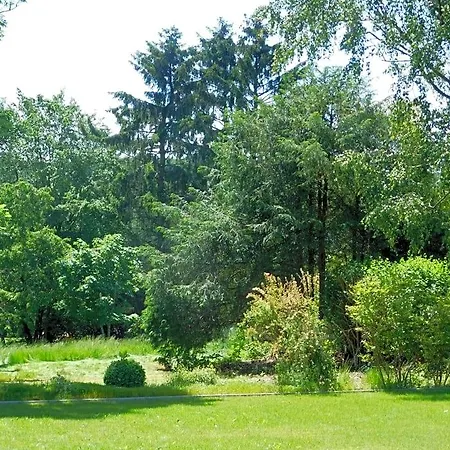 L'aubier Tenneville